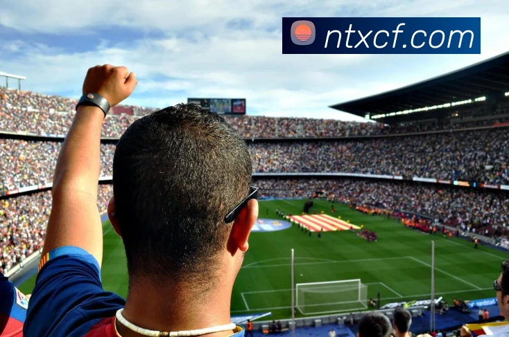 多媒体互动体验